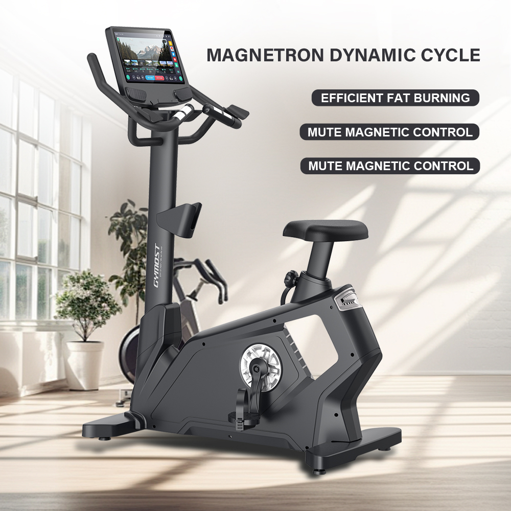 Magnetic Motorized Bicycle Commercial Fitness - Image 4